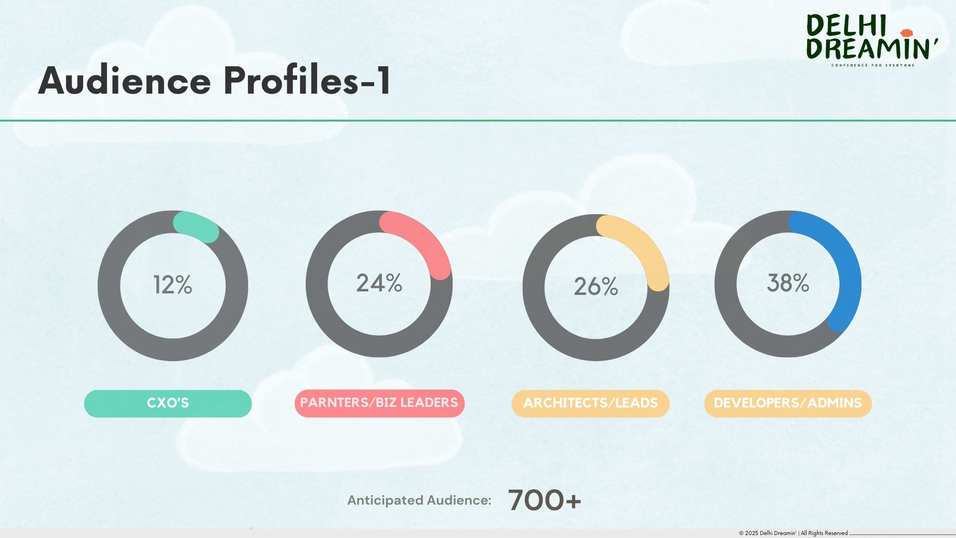 Delhi Dreamin Audience Profile